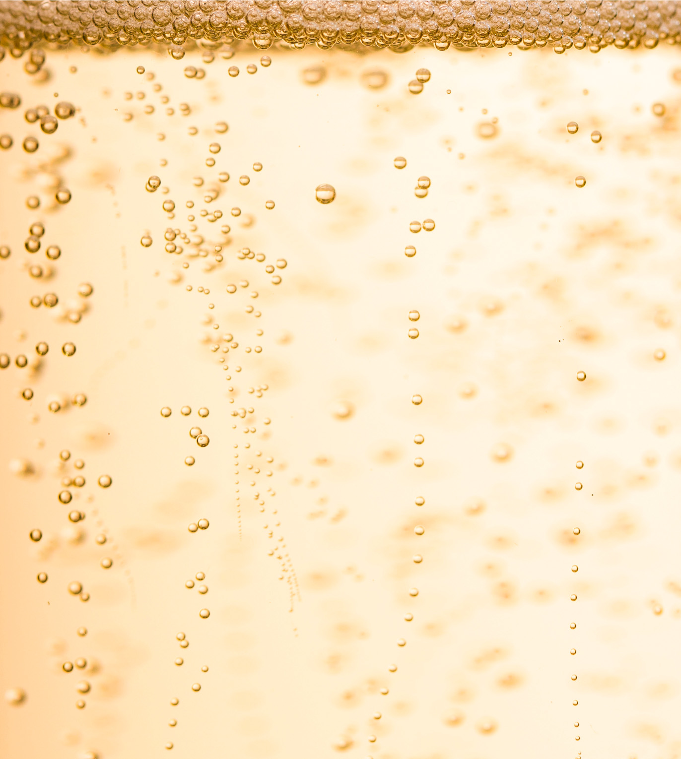 Close up of prosecco bubbles